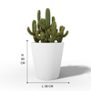 SKU_ Medium White Conical Flowerpot