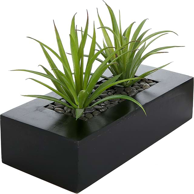 Meeting Planter