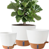 Environment Planters