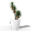 SKU_ Medium White Conical Flowerpot