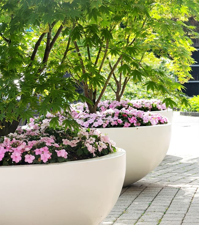 Flower Box
