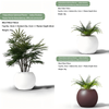 Polyurethane Spherical Planter– IndoorOutdoor Flower Pot for Home Balcony, Office & Commercial