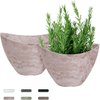 Elegant Planter