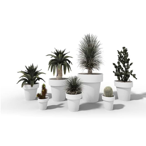 SKU - International Brown Basin