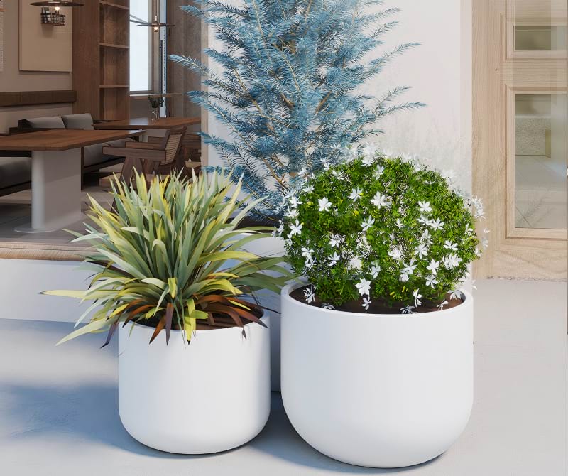 Guangzhou Rovis New Materials Industry Co., Ltd. 