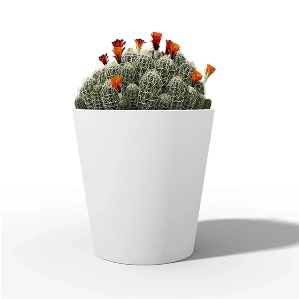 How Do You Choose Indoor Planters for Commercial Spaces?