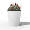 SKU_ Medium White Conical Flowerpot