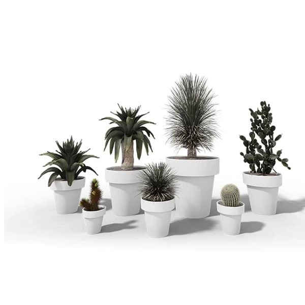 Do Indoor Planters Help Clean The Air?