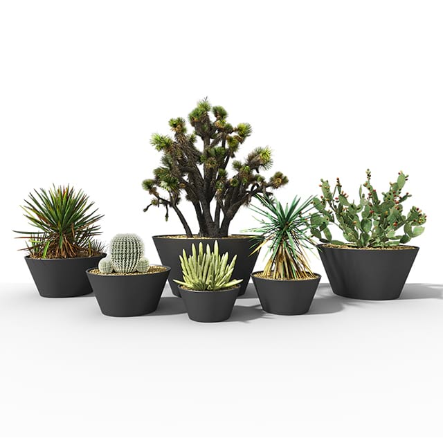 Adaptable Indoor Outdoor Garden Planter