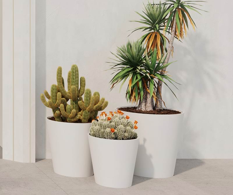 Guangzhou Rovis New Materials Industry Co., Ltd. 