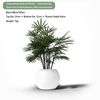 Polyurethane Spherical Planter– IndoorOutdoor Flower Pot for Home Balcony, Office & Commercial