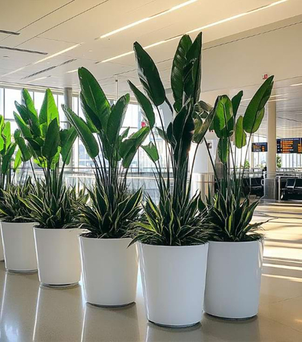 Guangzhou Baiyun Airport Hub Project