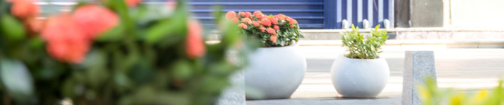 Commercial and garden planters for pedestrian streets
