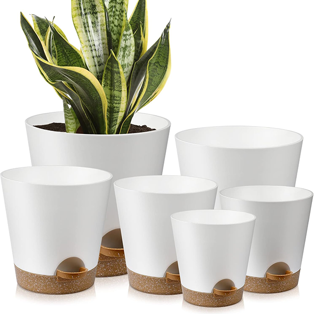 Environment Planters
