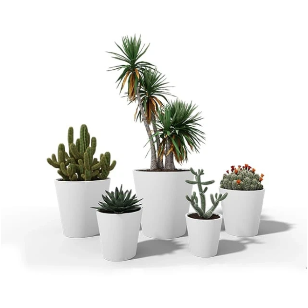 Indoor Planters (4)