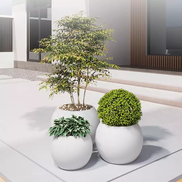 Outdoor Planters