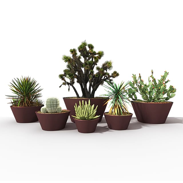 Decorating patio with stylish planters