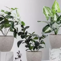 The Process Of Choosing & Installing Custom-Made Planters