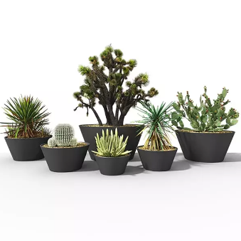Do Outdoor Planters Need Drainage Holes